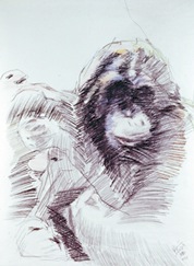 Orangutan Drawing